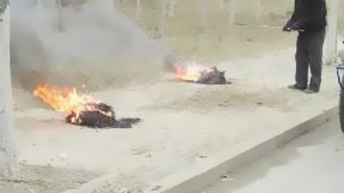 ����������£�¶���յ���=̯�ϴ��� 